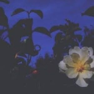 Meet your Posher, Kathleen